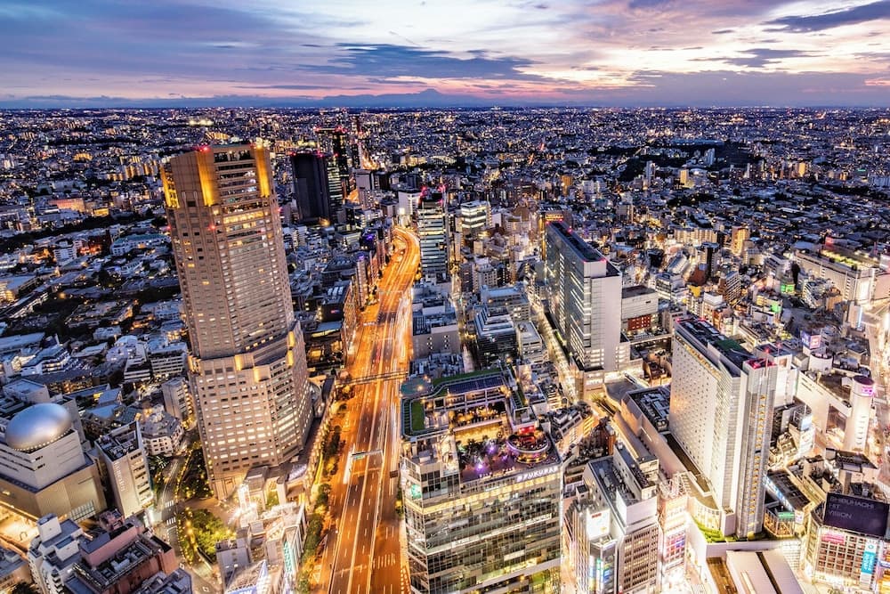 세룰리언 타워 도큐 호텔 기본 이미지 사진 1
