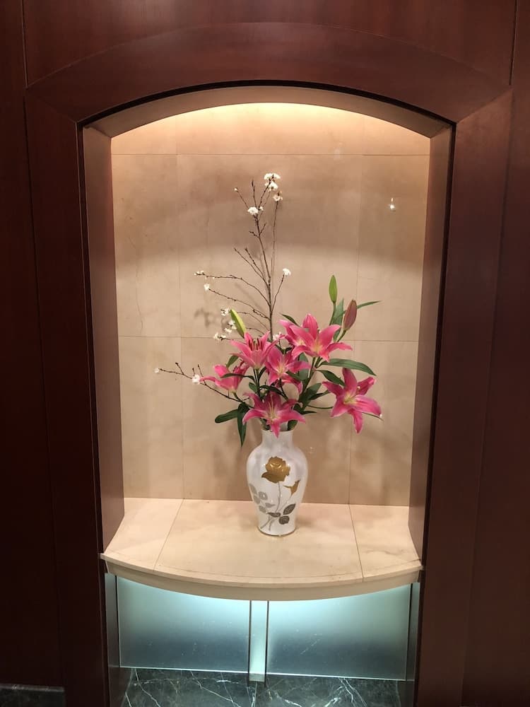 Hotel Patio Dogo, Lobby, photo 4