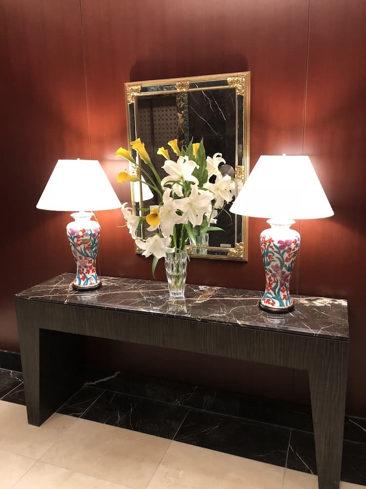 Hotel Patio Dogo, Lobby, photo 3