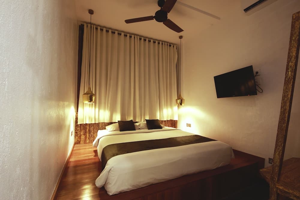 에코랜드 B&B 기본 이미지 사진 1