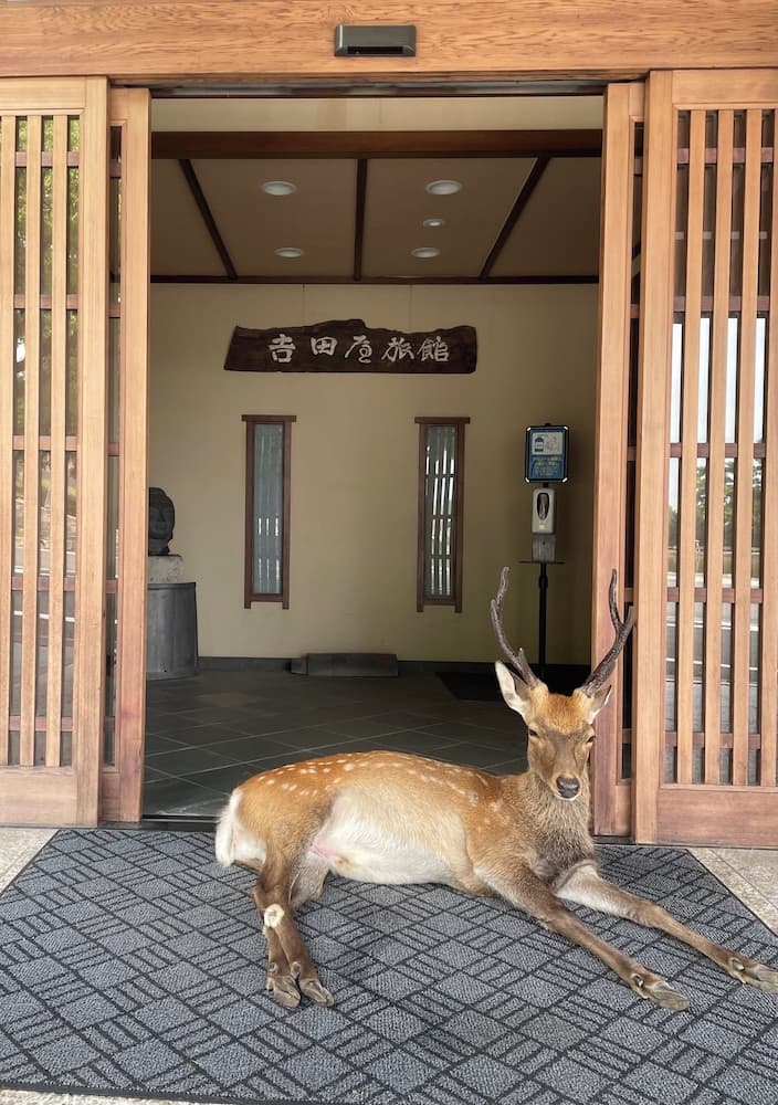 Sarusawaike Yoshidaya, Primary image, photo 1