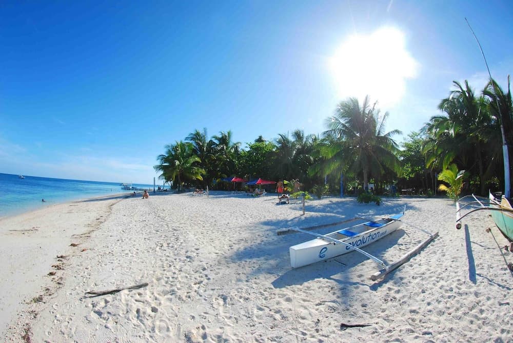 Evolution Dive and Beach Resort, Primary image, photo 1