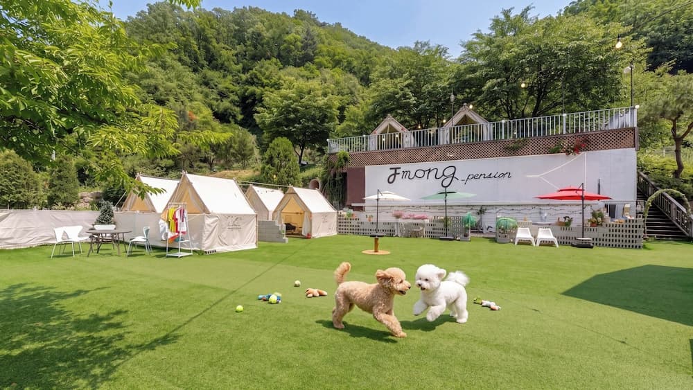 가평 제이몽 바베큐&애견 전문 펜션 기본 이미지 사진 1