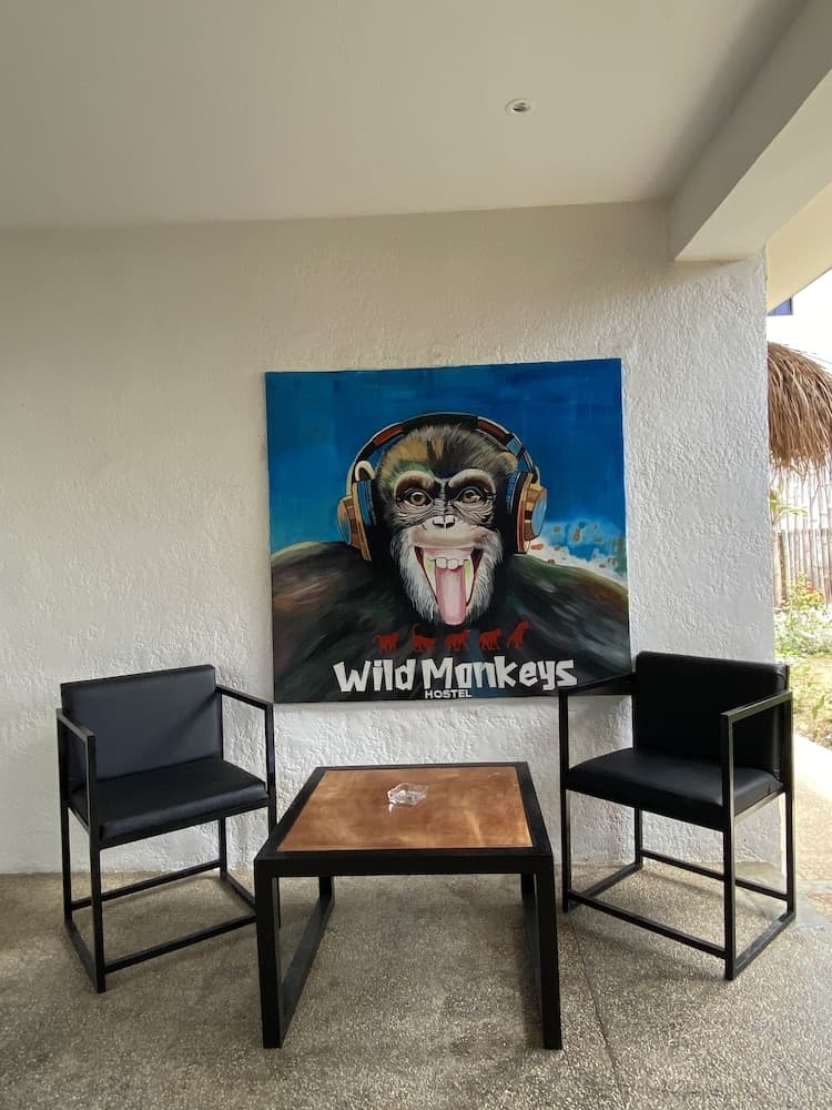 Wild Monkeys Hostel, Lobby sitting area, photo 4