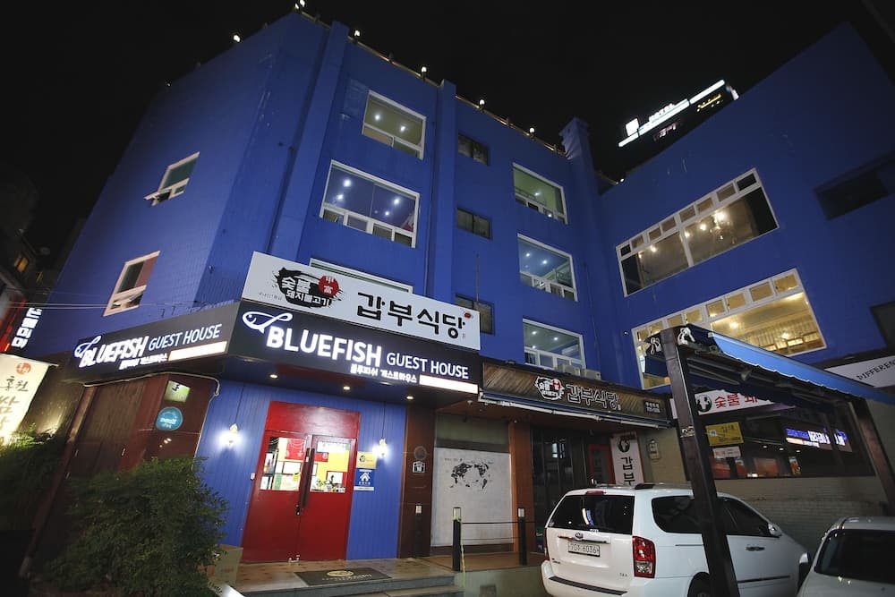 블루피쉬 게스트하우스  - 호스텔 기본 이미지 사진 1