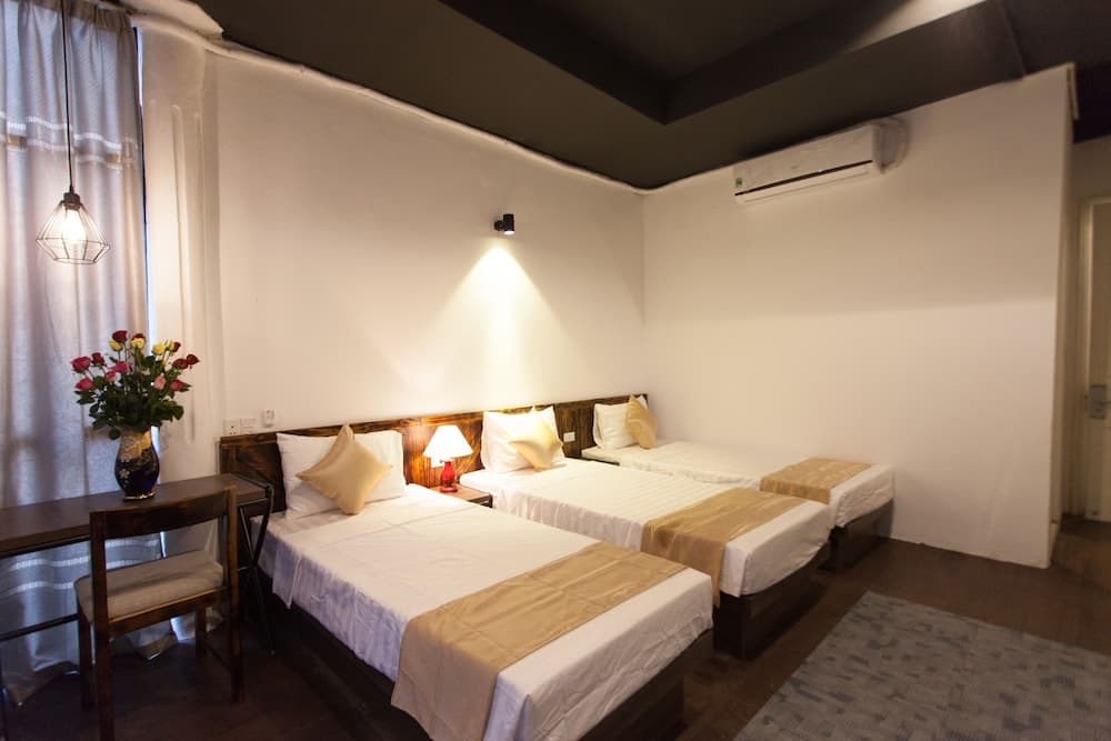 Luxury Backpackers, Primary image, photo 1
