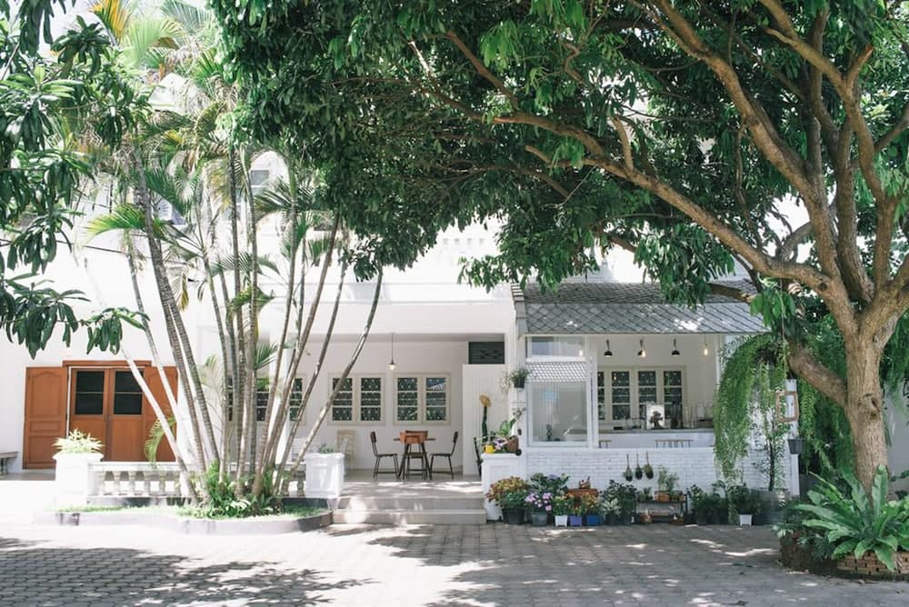 Double Tree House, Primary image, photo 1