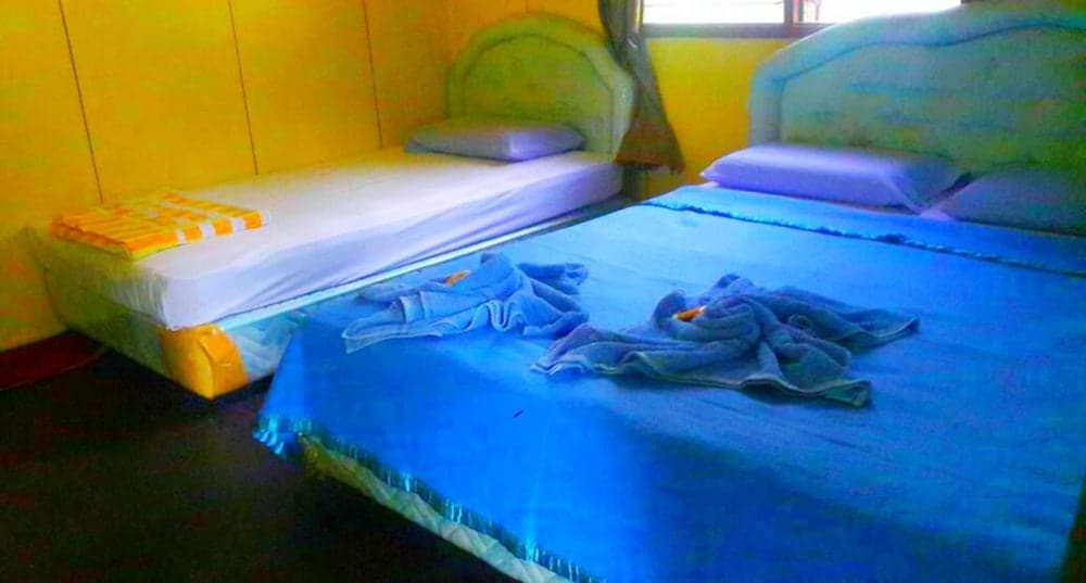 수카우 백패커스 B&B 객실 사진 2