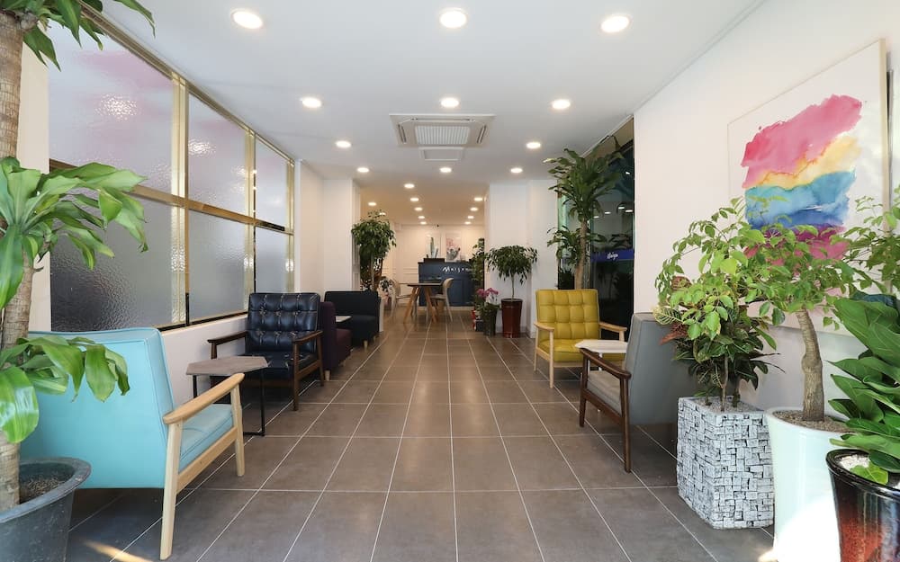 Maison Mini Hotel, Lobby, photo 2