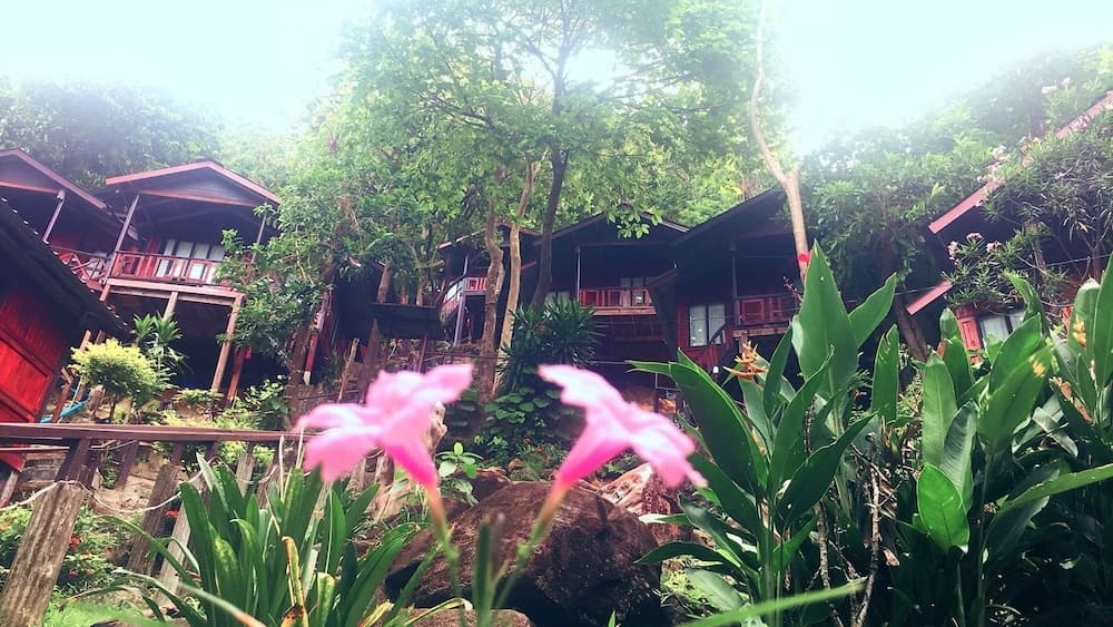 Phi Phi Green Hill Resort, Primary image, photo 1