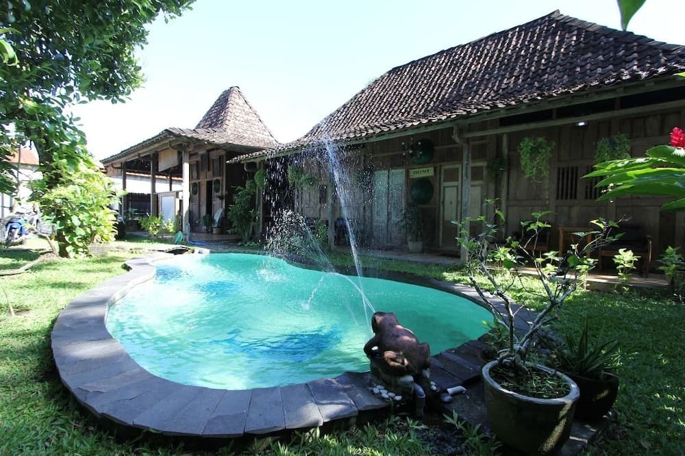 Omah Lila by The Grand Java, Primary image, photo 1