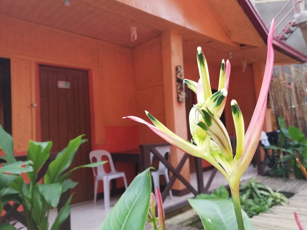 Forest Inn, Primary image, photo 1
