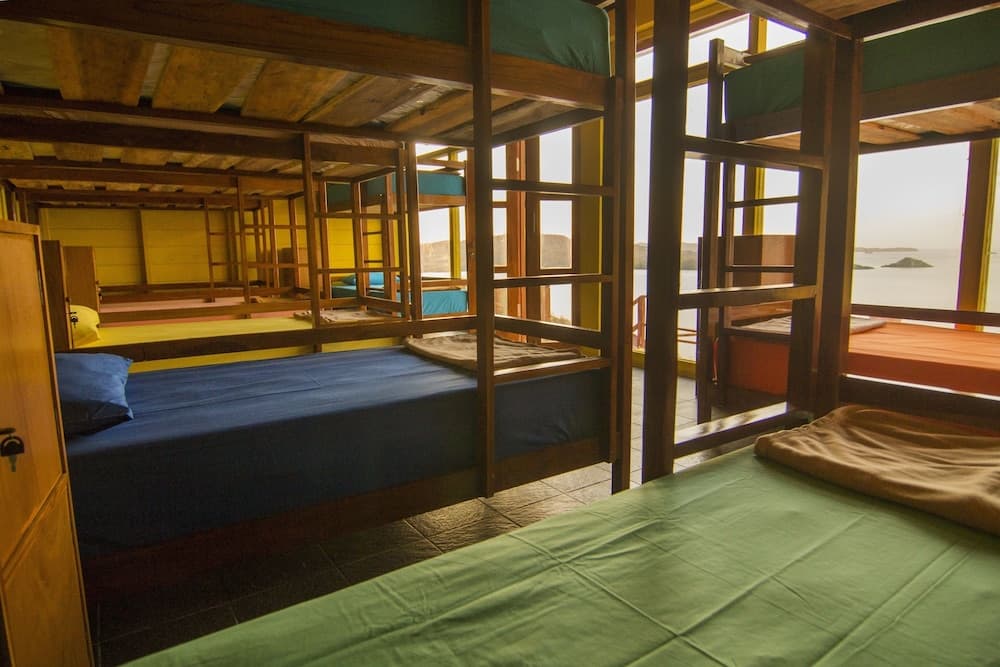 One Tree Hill - Hostel, Primary image, photo 1