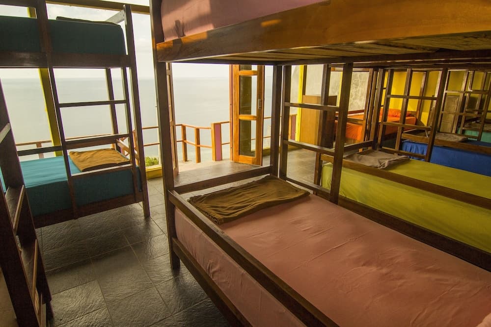 One Tree Hill - Hostel, Room, photo 5