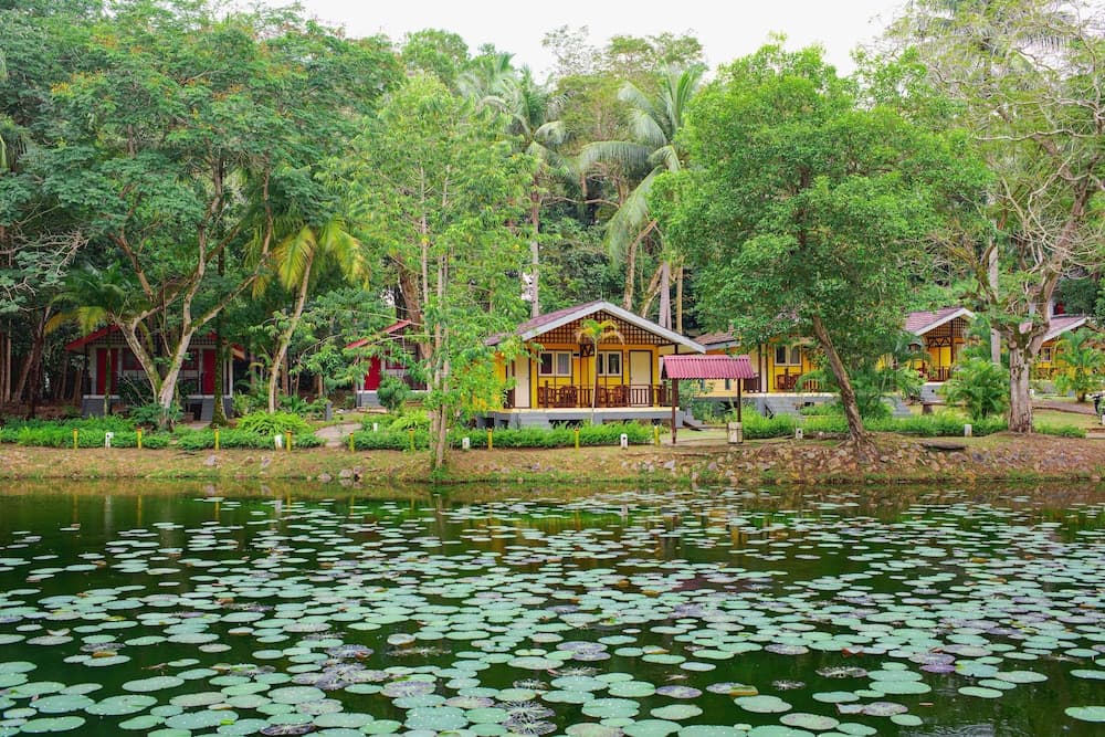 Nirwana Beach Club, Primary image, photo 1