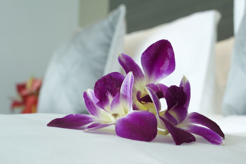 ibis Semarang Simpang Lima, Room, photo 3