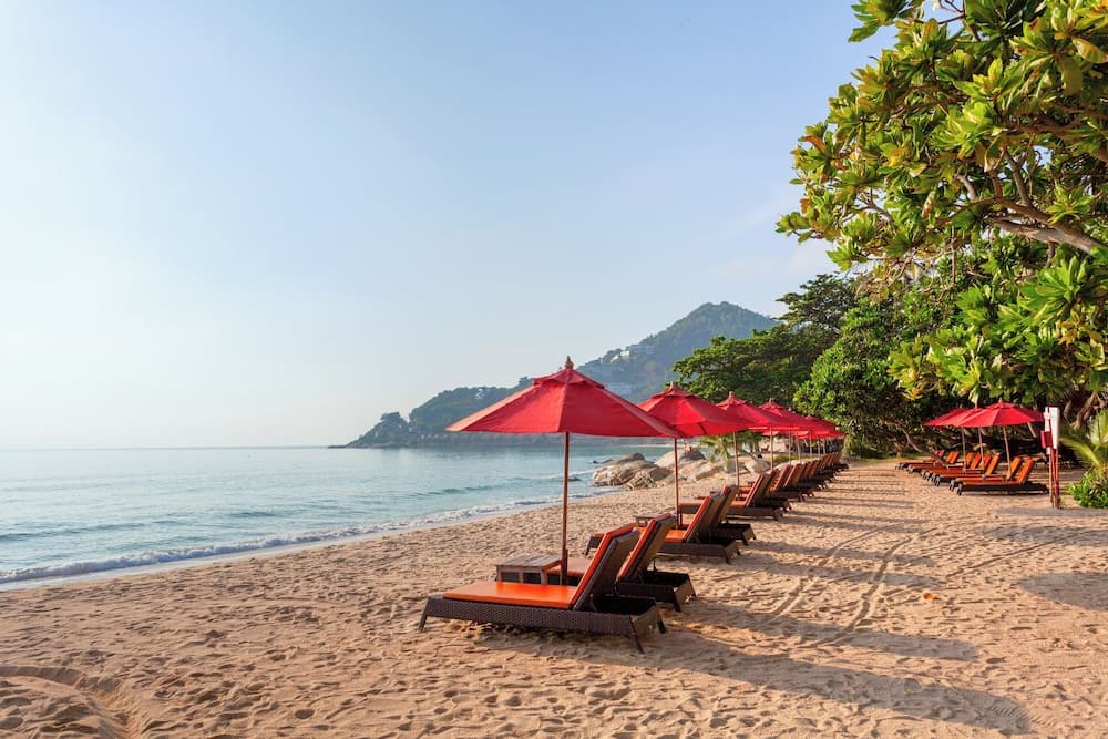 New Star Beach Resort, Primary image, photo 1