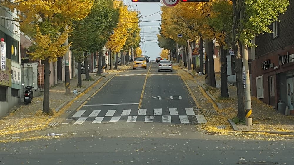 울산 게스트 하우스 배호한마루 기본 이미지 사진 1