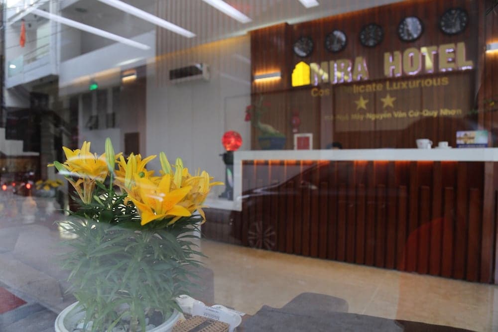 Mira Hotel, Reception, photo 2