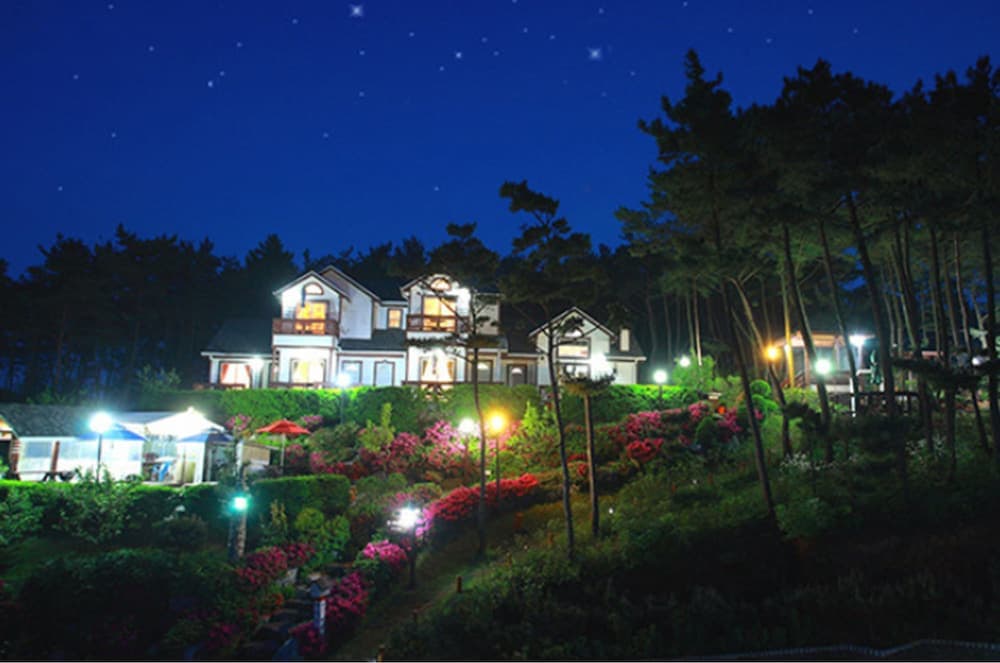 Petit Maison Pension, Primary image, photo 1