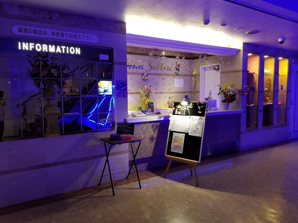 Hotel Seline - Adults Only, Reception, photo 3