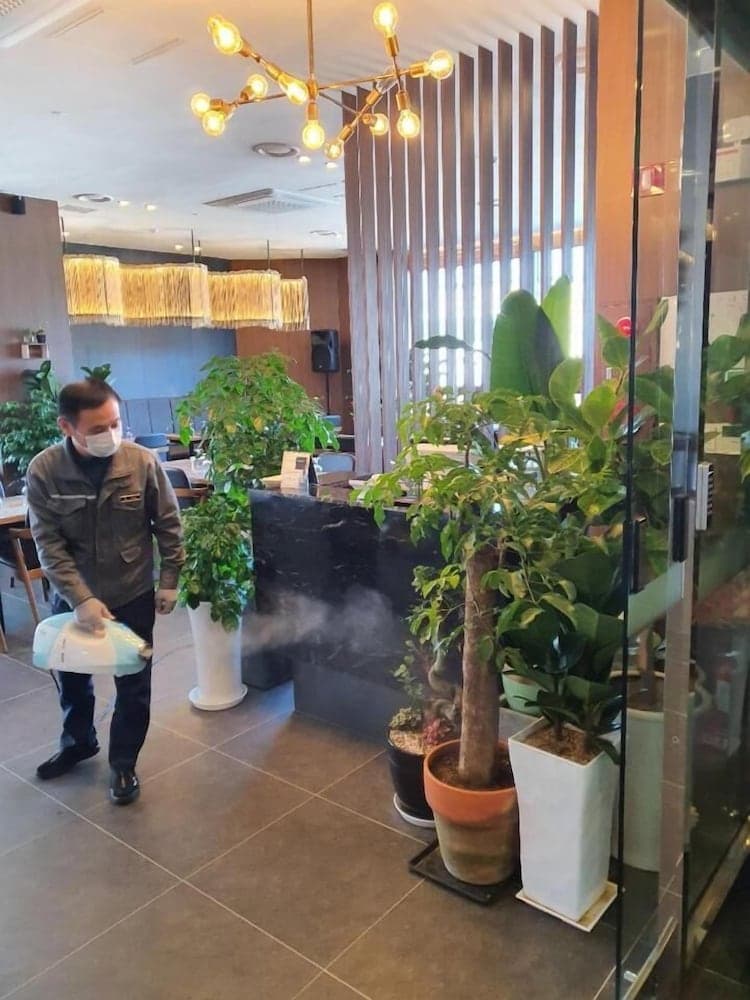 더메인즈 호텔 로비 사진 5