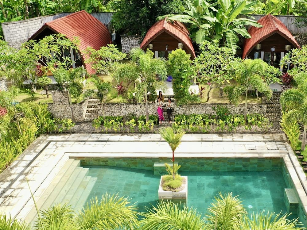 Jungle Paradise, Primary image, photo 1