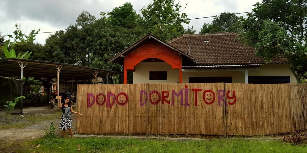 Dodo Dormitory Backpacker, Primary image, photo 1