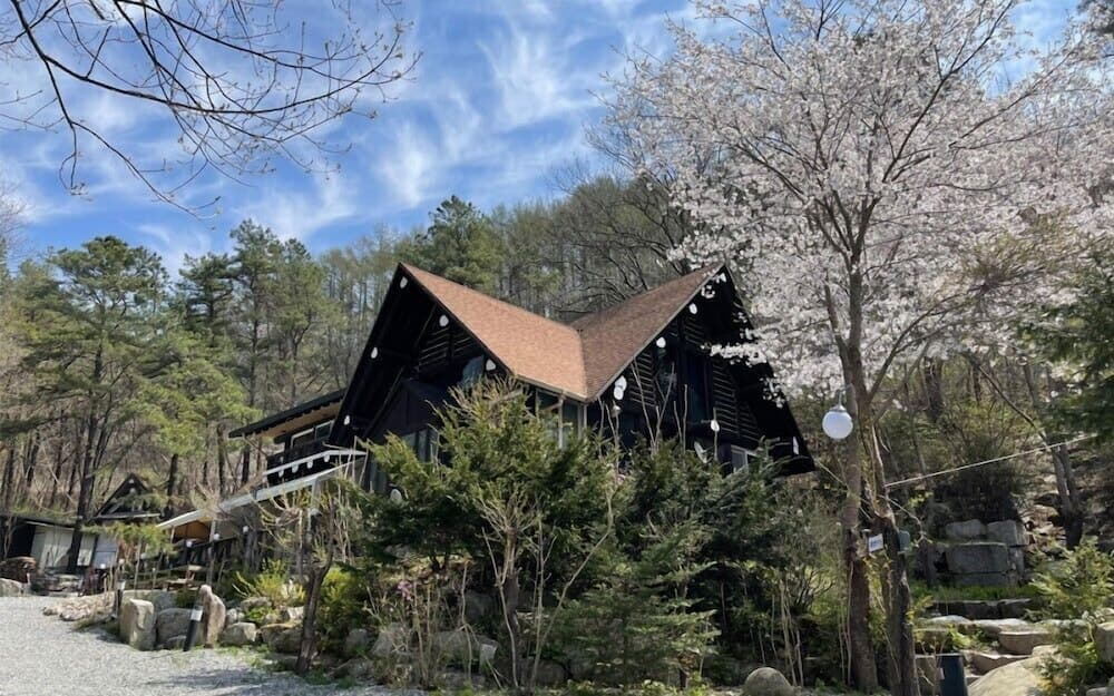 비발디하우스펜션 기본 이미지 사진 1