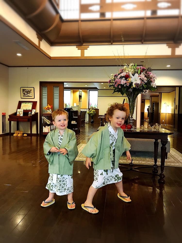 Hotel Tsubakino, Interior entrance, photo 5