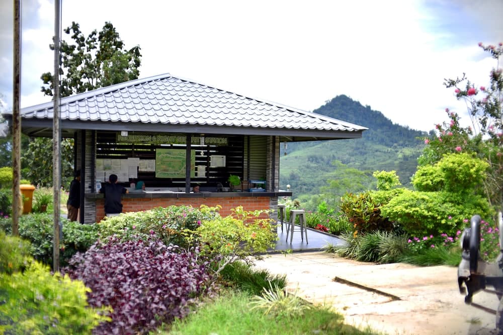 사바 티 리조트 리셉션 사진 2