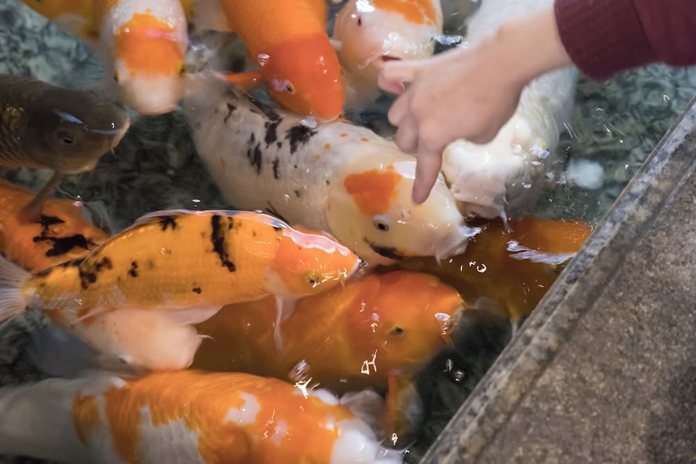 아리마 온센 겟코엔 유게츠산소 로비 사진 3