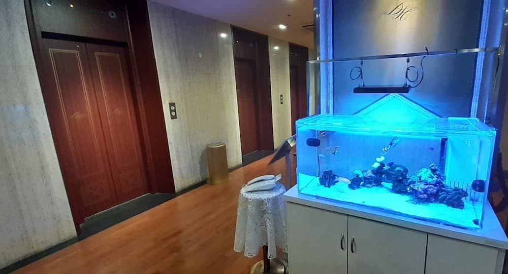 Diamond Hotel, Lobby, photo 2