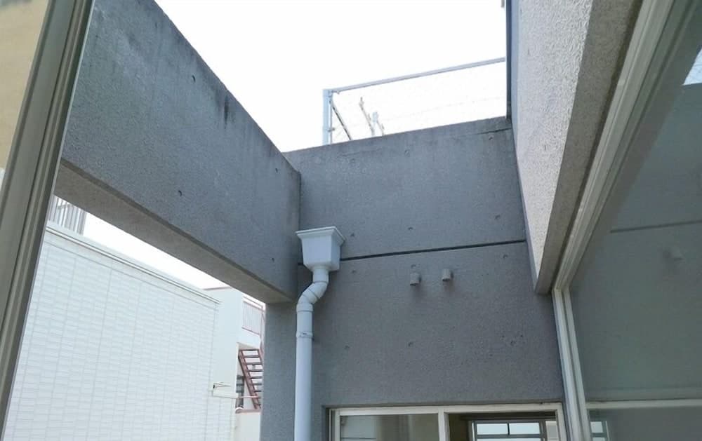 Pacio Nijo, Interior entrance, photo 4