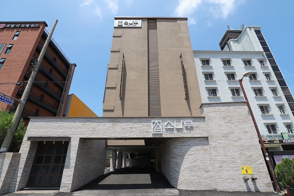 Chuncheon Sonamu Hotel, Primary image, photo 1