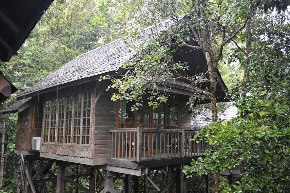 Permai Rainforest Resort, Room, photo 5