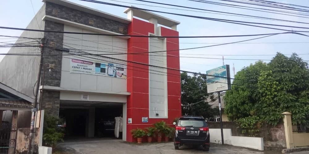 D파라곤 트리코라 기본 이미지 사진 1