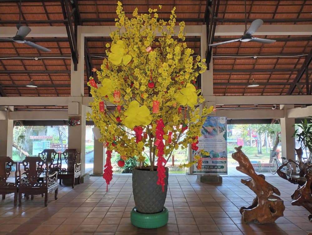 Can Gio Resort, Reception, photo 3