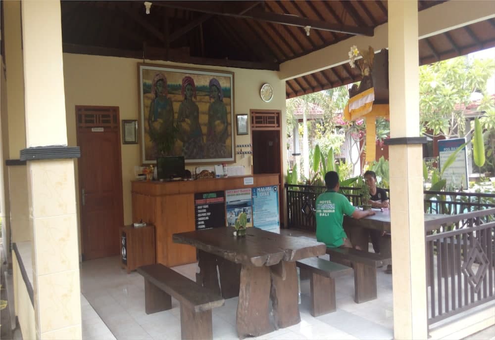 Hotel Mylovina, Reception, photo 2
