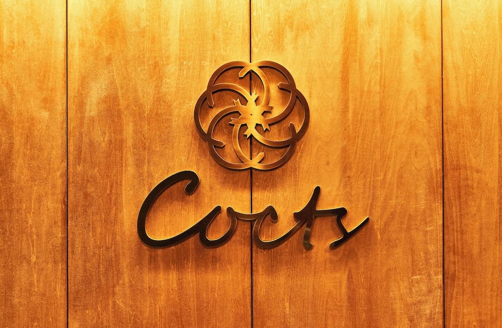 Cocts Akihabara, Reception, photo 5