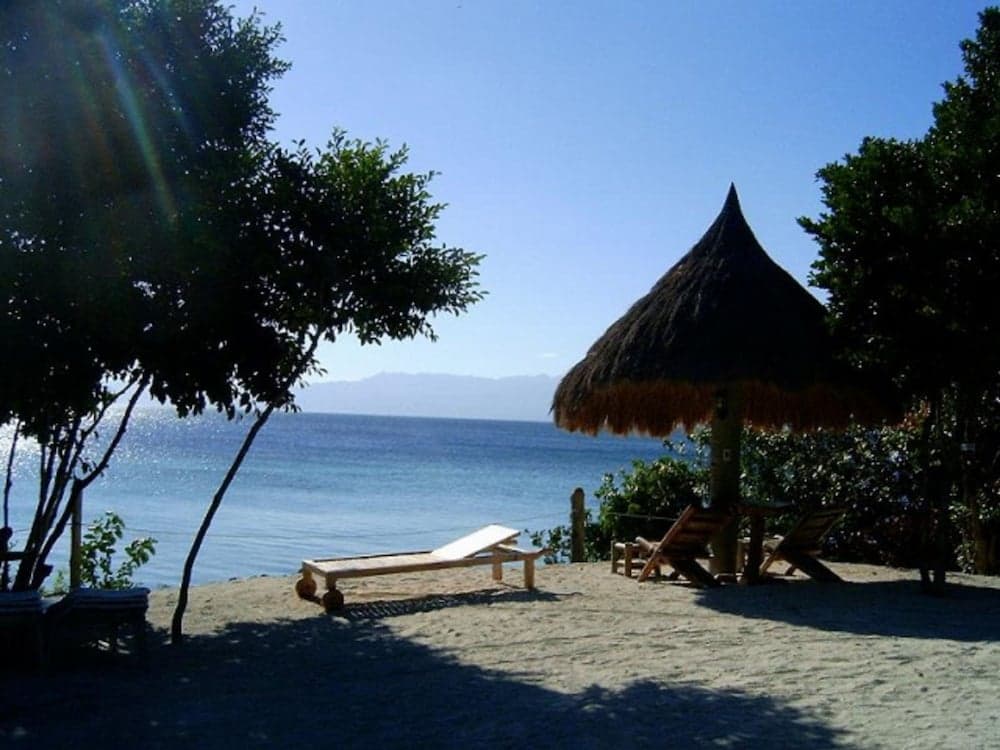 Sea Turtle House, Primary image, photo 1