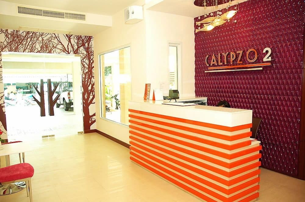 Calypzo 2, Reception, photo 4