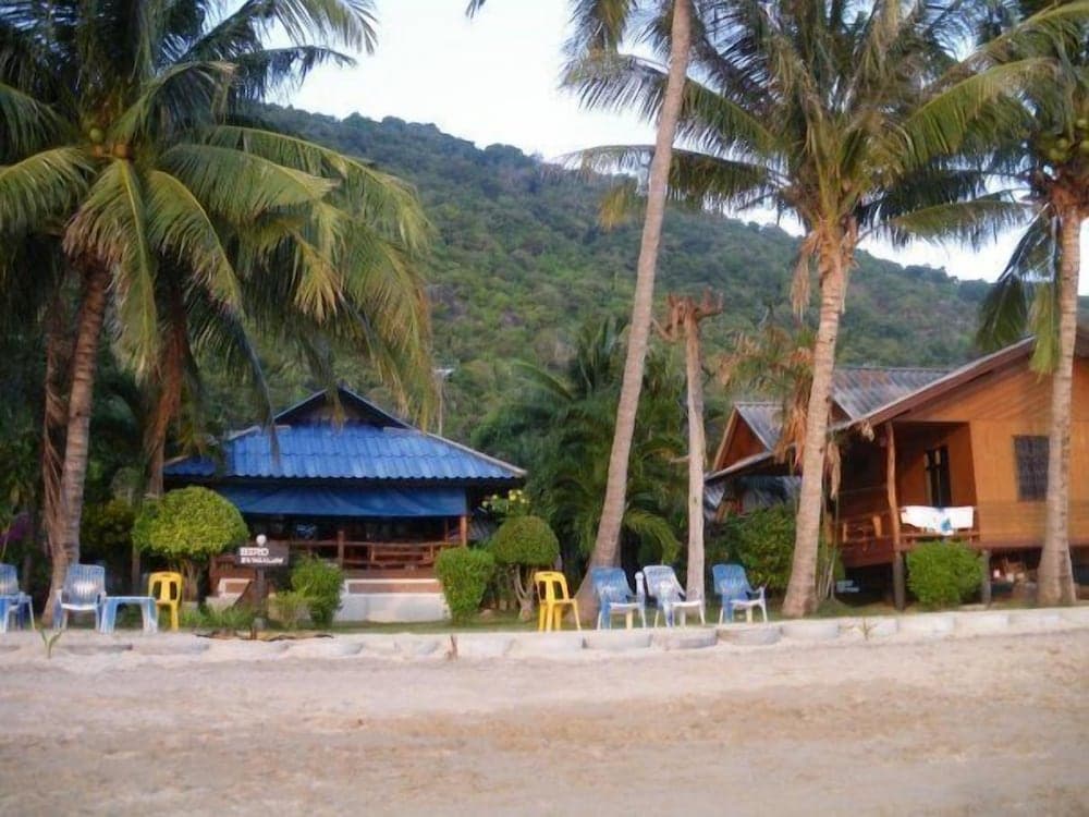 Bird Bungalow, Primary image, photo 1