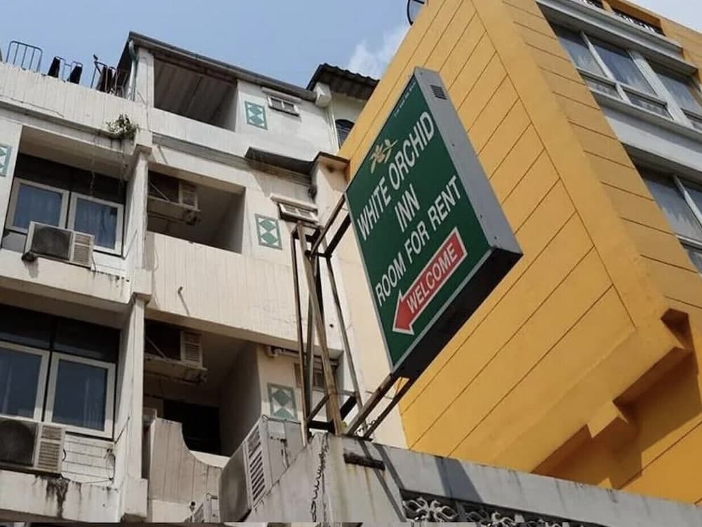 화이트 오키드 인 기본 이미지 사진 1