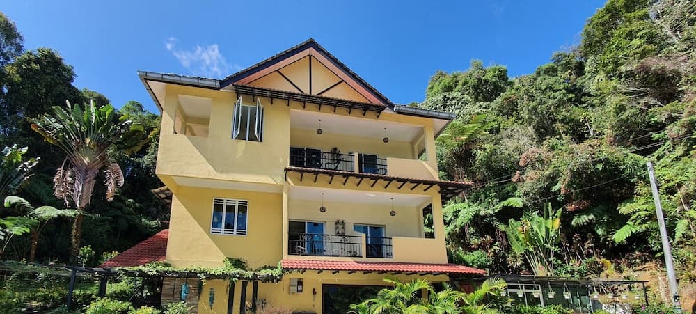 Arundina Cameron Highlands, Primary image, photo 1