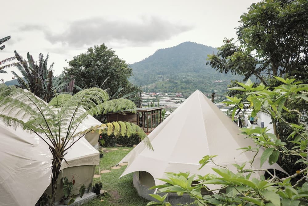 Alamu, Primary image, photo 1