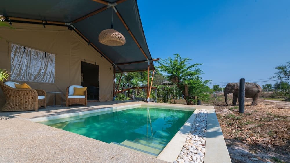 Elephant View Camp, Pool, photo 5