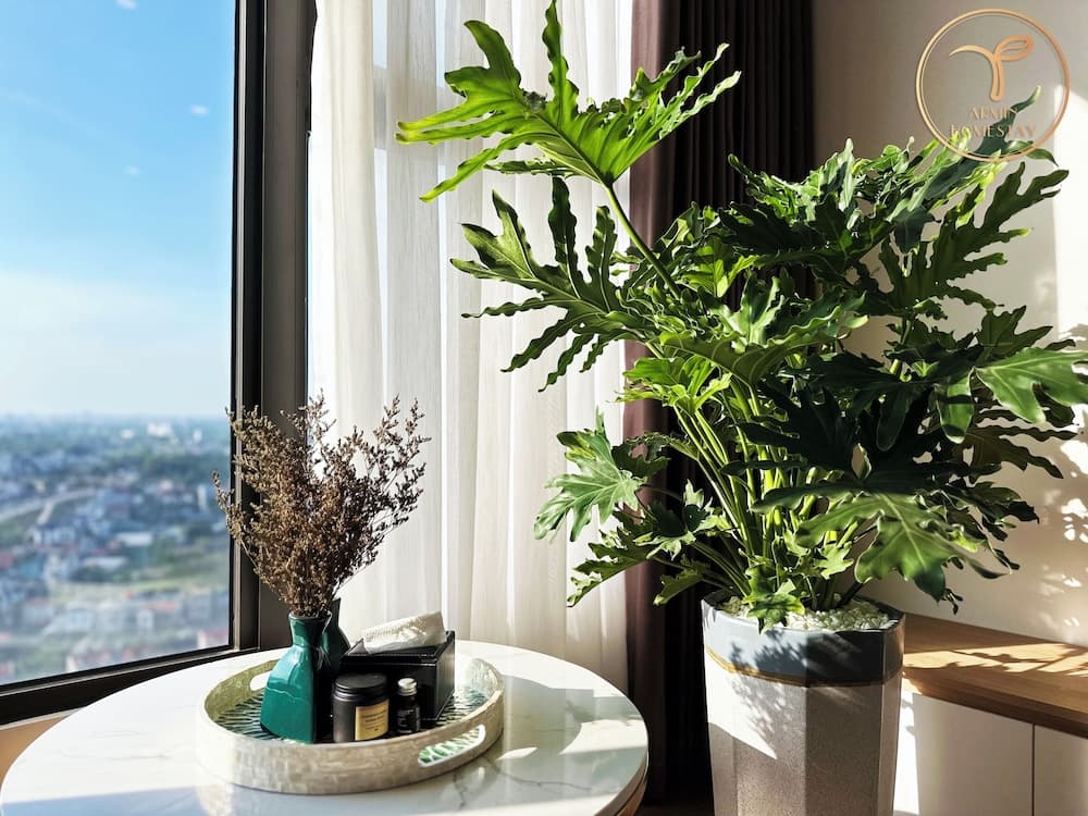 Armin Homestay Ecopark 거실 공간 사진 5